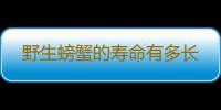 野生螃蟹的寿命有多长 