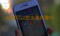 螃蟹可以放水里养着吗 